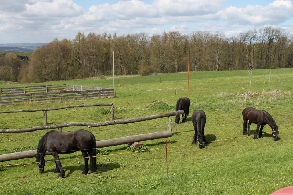 Kutschergasthof Am Sonnenstein
